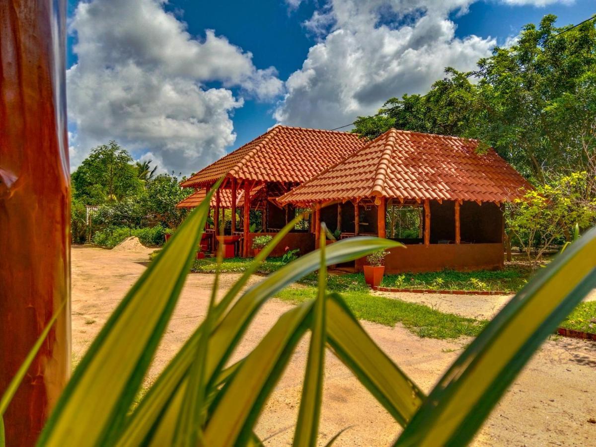 סיגירייה Ceylon Amigos Eco Resort מראה חיצוני תמונה