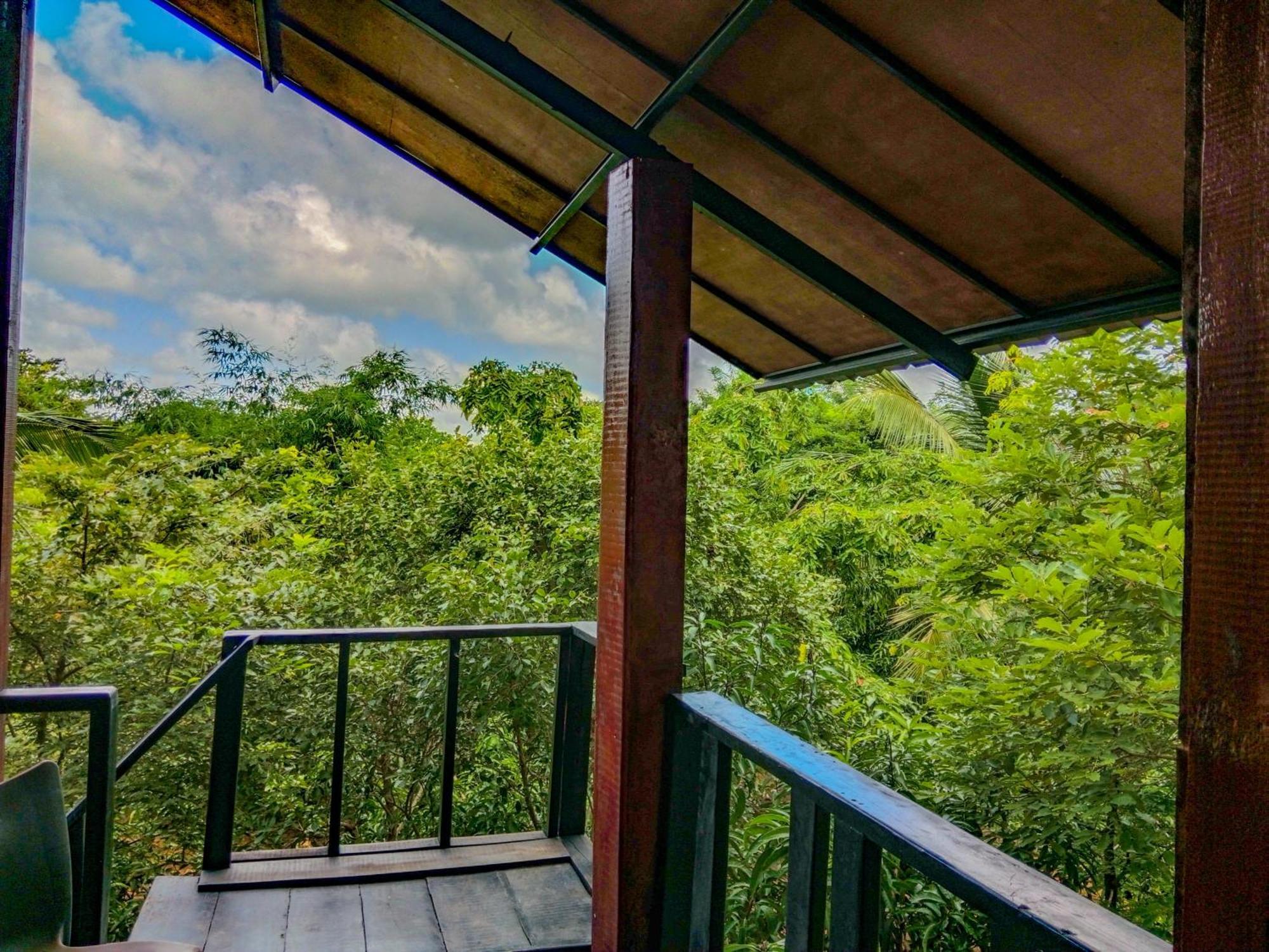 סיגירייה Ceylon Amigos Eco Resort מראה חיצוני תמונה