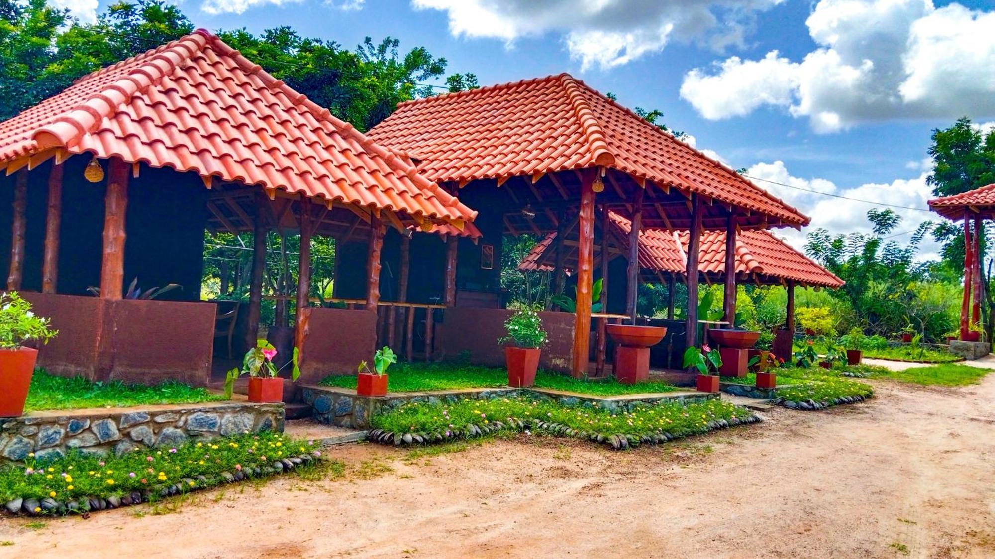 סיגירייה Ceylon Amigos Eco Resort מראה חיצוני תמונה