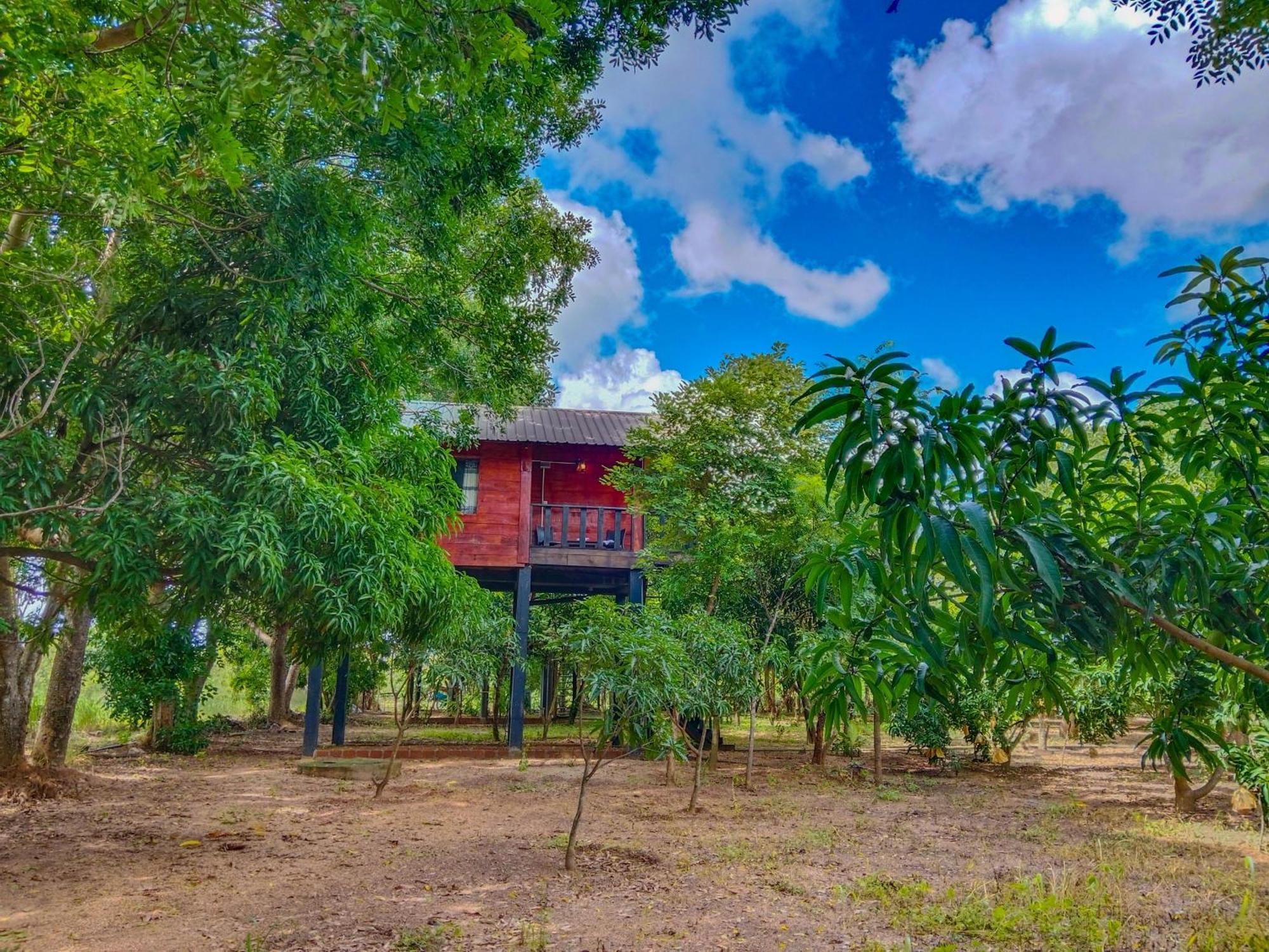 סיגירייה Ceylon Amigos Eco Resort מראה חיצוני תמונה