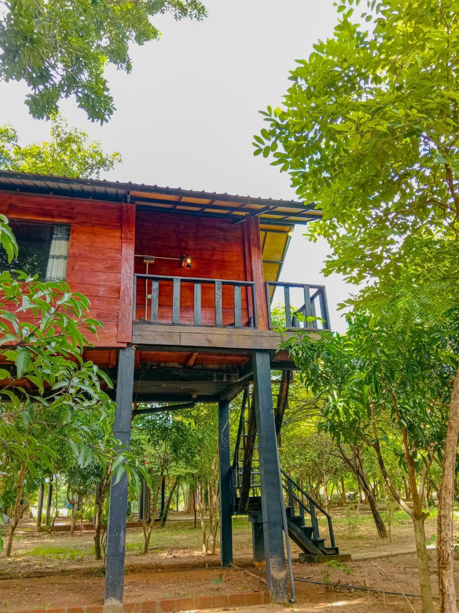 סיגירייה Ceylon Amigos Eco Resort מראה חיצוני תמונה
