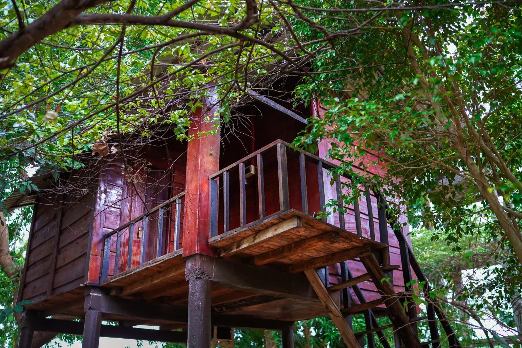 סיגירייה Ceylon Amigos Eco Resort מראה חיצוני תמונה