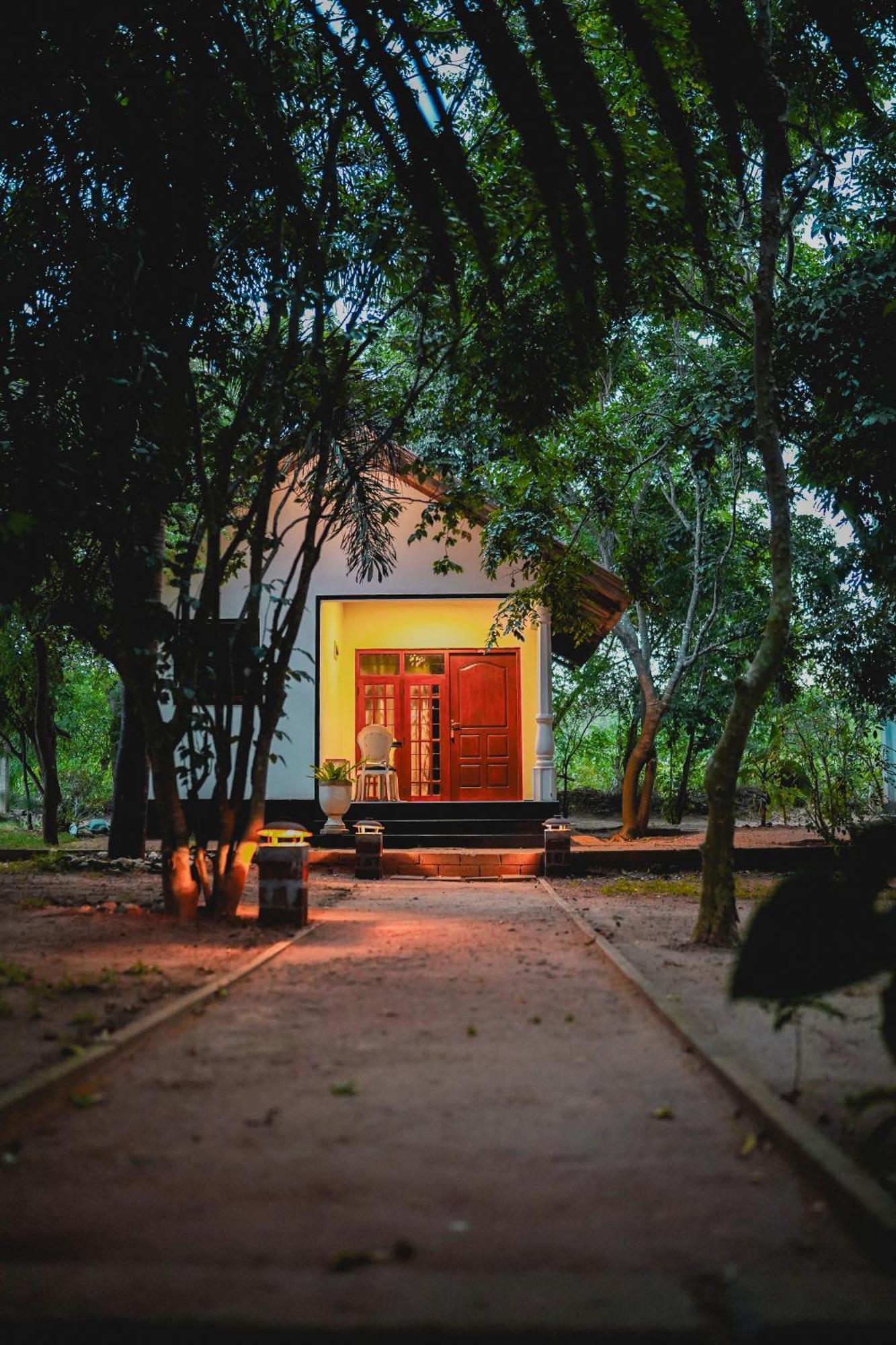 סיגירייה Ceylon Amigos Eco Resort מראה חיצוני תמונה